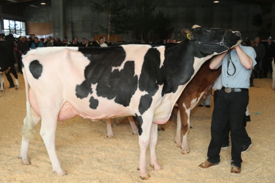 1e4dcfc72a29fd4f88153ac4b7853d14.jpg