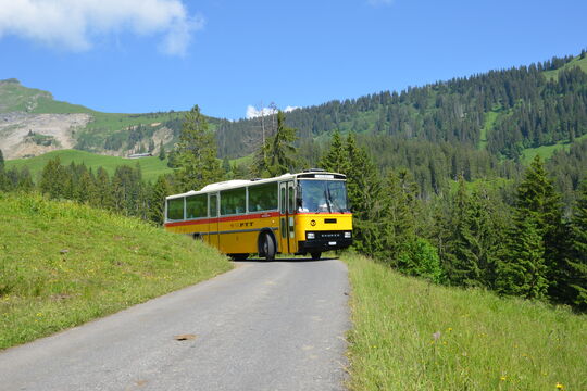 Lombachalp 18.06.2012 058.jpg