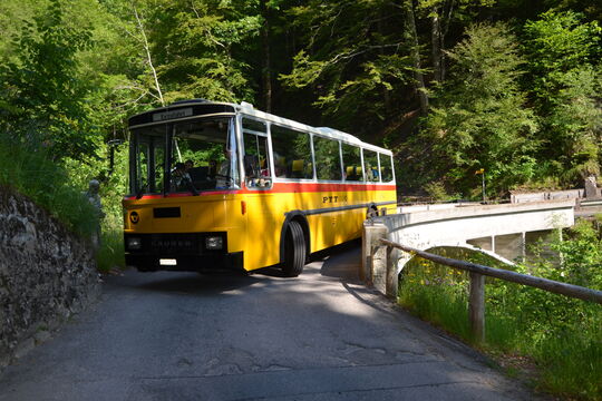 Lombachalp 18.06.2012 084.jpg