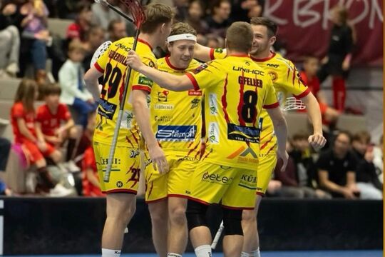 Bild Tigers starten mit Ausrufezeichen ins neue Jahr
