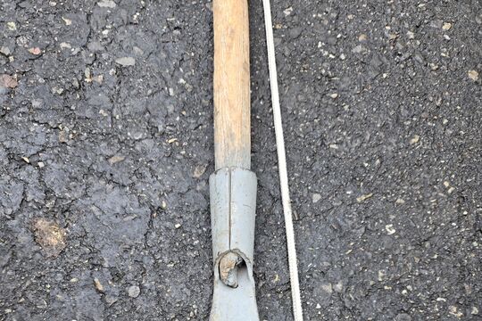 20260611_084229.jpg