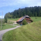 Profil Bild