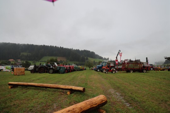 DN9A9837