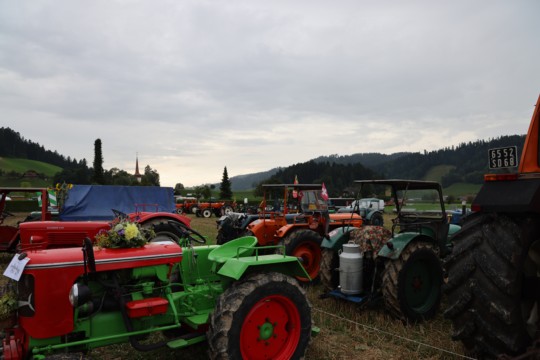 DN9A9913