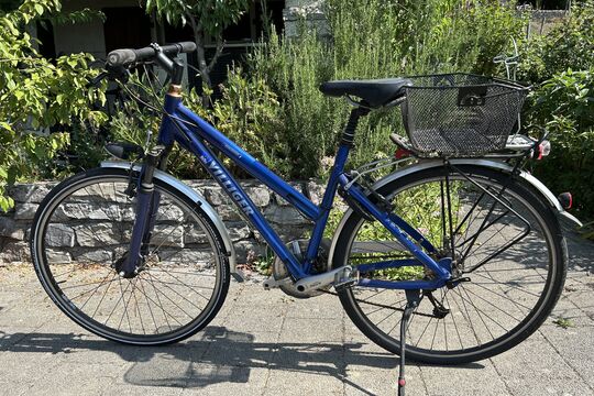 Fahrrad Damen.jpg