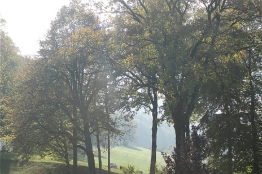 20ac509dd74cfe6a8a8e36da34f58db4.jpg