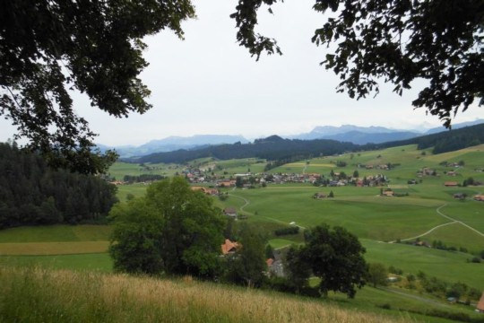 bild2