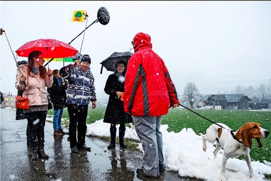 bild-1