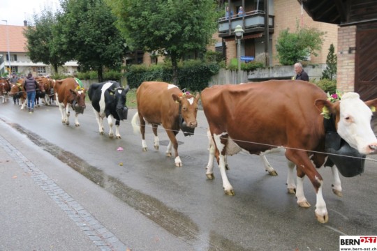 Viehschau