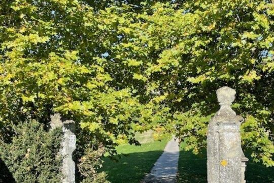 1 Postamente Ueberwachsen