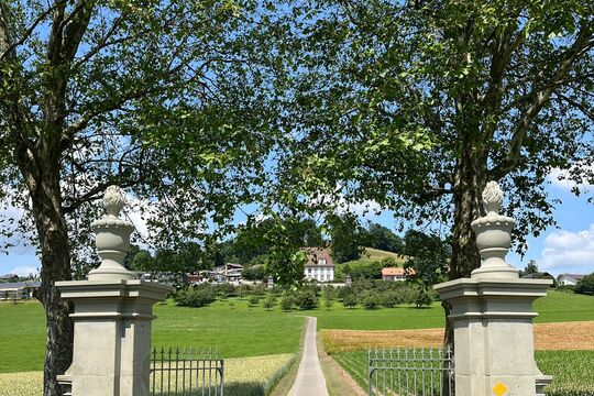 5 Restaurierte Postamente