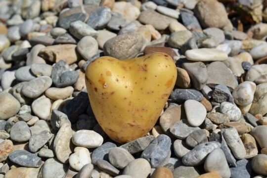 heart-1625827_1920