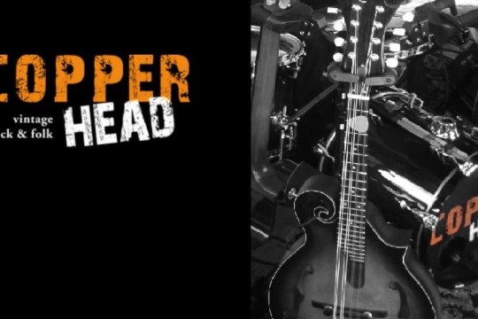 Copper Head.jpg