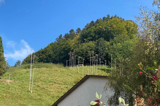 Schafrain Walkringen (2)