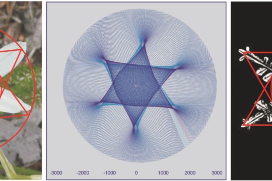 Hexagram BlumPlanSchn.jpg