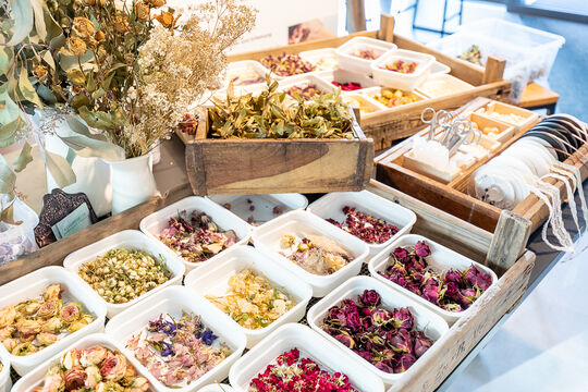 eventpic_trockenblumen-2.jpg