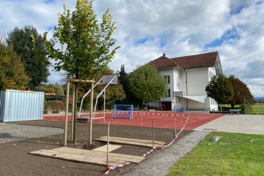 Linde Schulhaus Vielbringen