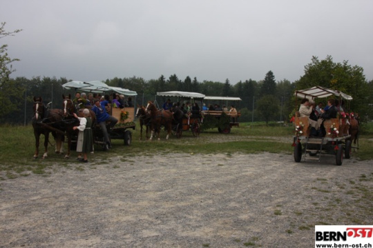 24fe8251afb29e7154752e29456a7558.jpg