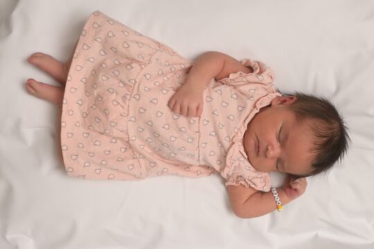 Graf Livia w Bowil 09 08 2025