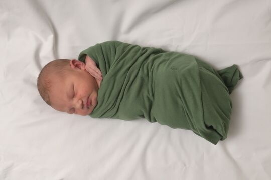 Marti Yael Elara w Grosshöchstetten 20 08 2025