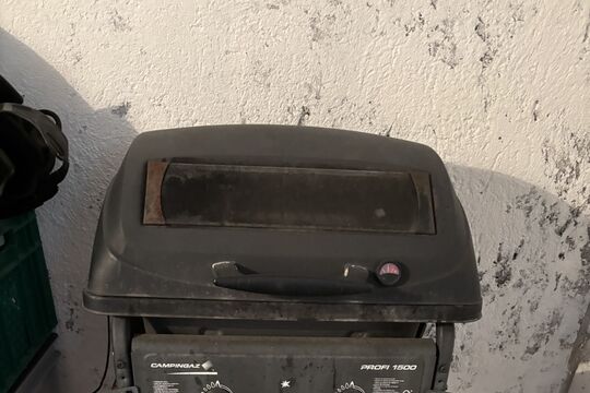 IMG_6877.jpeg