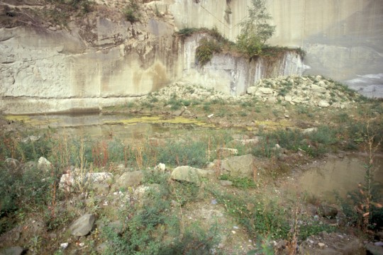Tümpel