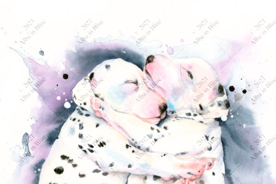 Colleccion Valentin 2022 Ella y LI35.jpg