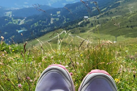 20250719_123233.jpg