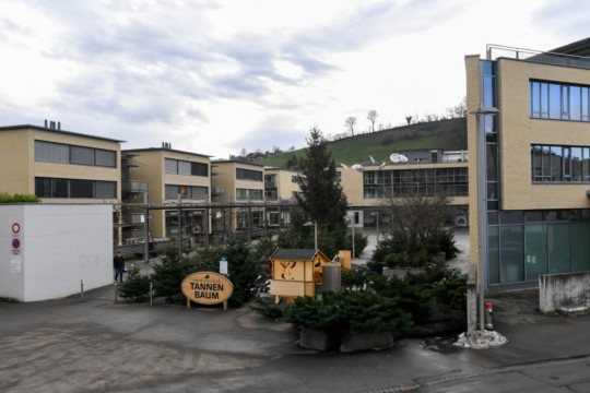 Bild Bärenplatz in Grün
