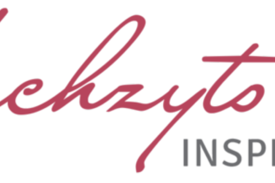 Logo HZI