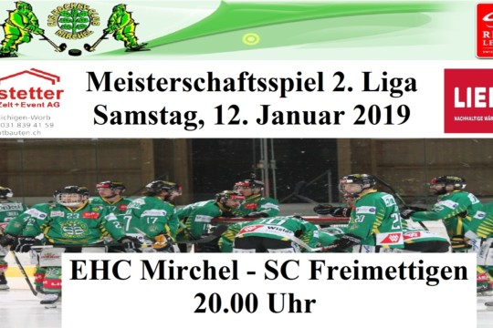 Meisterschaftsspiel 2. Liga, 12.01.2019.jpg