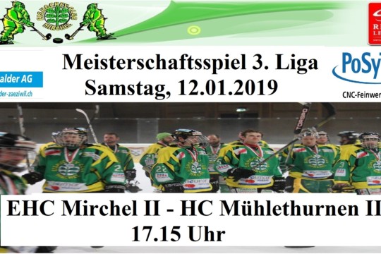 Meisterschaftsspiel 3. Liga, 12.01.2019.jpg
