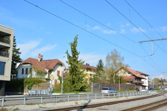 Capramontes2