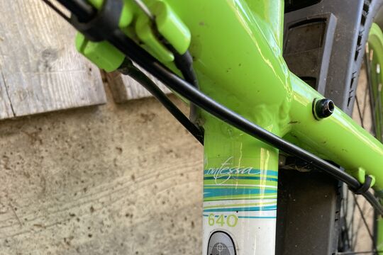 IMG_7150.jpeg