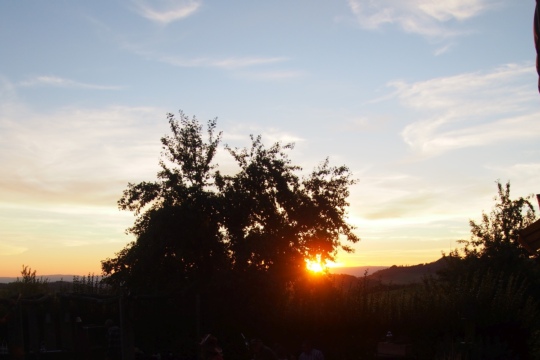 P1010609