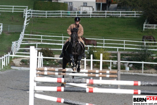 29ebc01fdfb1a523b8baffa9d7049ed4.jpg