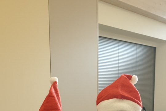 20191116_144025