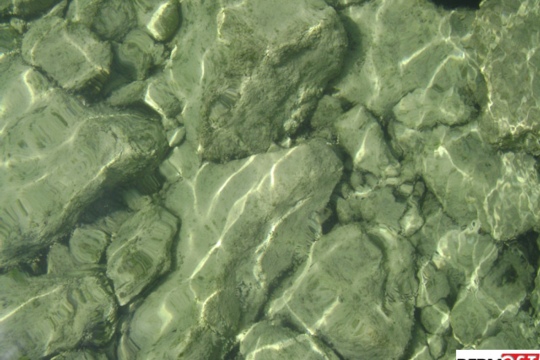 2a8d4853f125e95455c876398ba23ad5.jpg