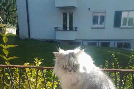 Minusch_2012-10-20 16.01.47.jpg