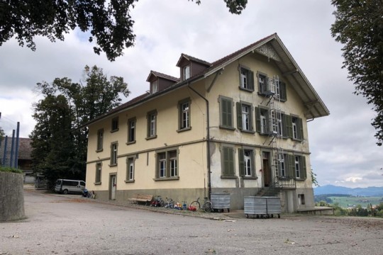 enggistein