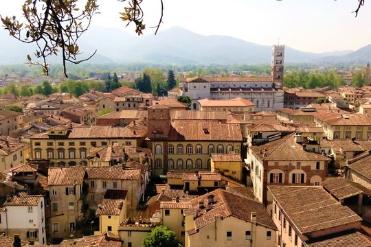 lucca-da-torre-guinigi.jpg