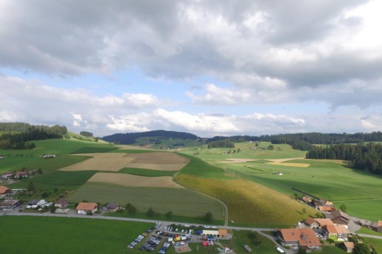 IMG-20190731-WA0006