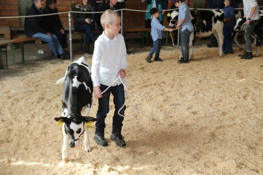 2c7d982809b4117152968ec132373dad.jpg
