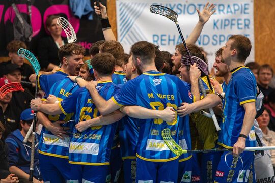 WhatsApp Bild 2025-03-10 um 22.16.32_d8d2af5b.jpg