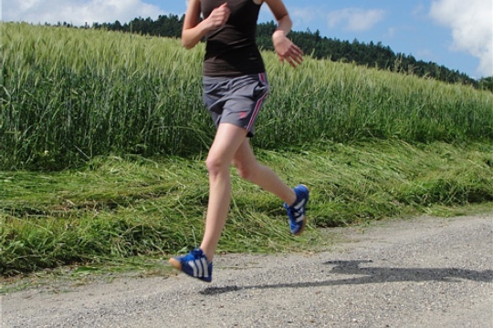 2cd78584ab66700d3c62bfba4360e88f.jpg