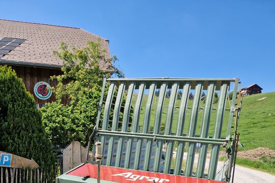 20260527_194905.jpg