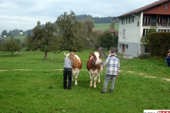 2dfb8ed3a0fe54cda12429b7aa9d060e.jpg