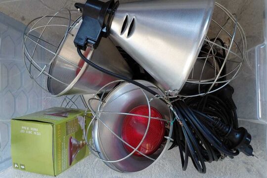 IMG-20250723-WA0003.jpg