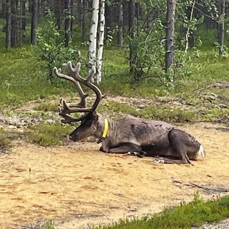 image 994736