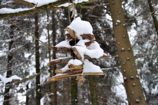 DSC_0052.jpg